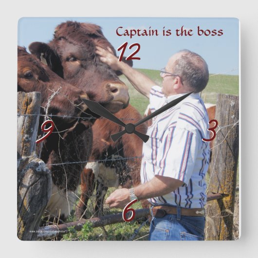 Pinzgauer大尉の雄牛の時計 スクエア壁時計 (正面)