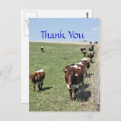 Pinzgauer牛8371ポストカード – カスタマイズ ポストカード (正面/裏面)