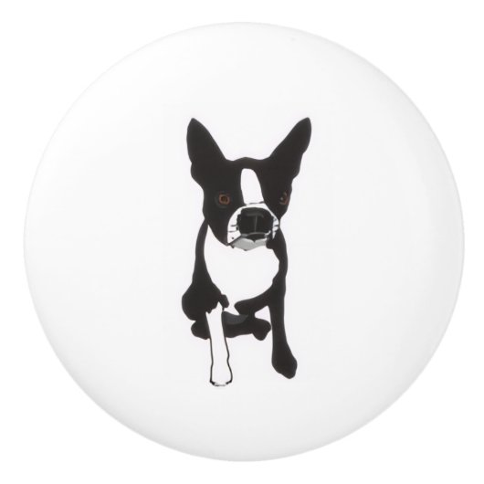 Piper Drawer Pulls セラミックノブ (正面)