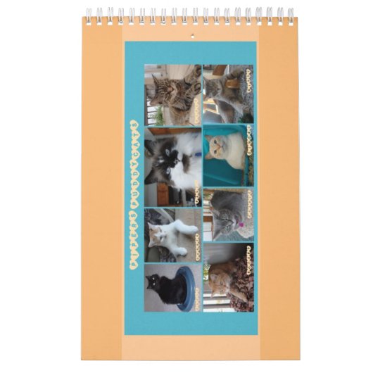 PipersPuddycats 2020のカレンダー カレンダー (カバー)