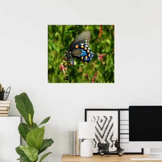 Pipevine swallowtail butterfly print ポスター (ホームオフィス)