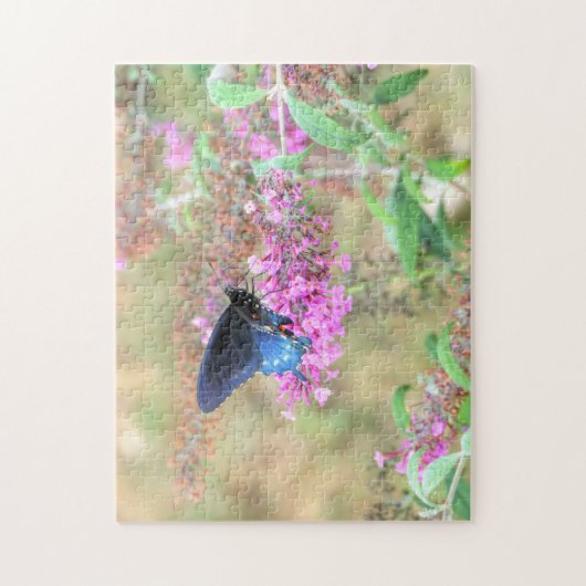 Pipevine Swallowtail on Butterfly Bush ジグソーパズル (縦)