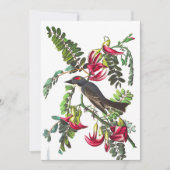 Piping Flycatcher by John James Audubon 招待状 (正面)