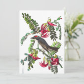 Piping Flycatcher by John James Audubon 招待状 (スタンド正面)