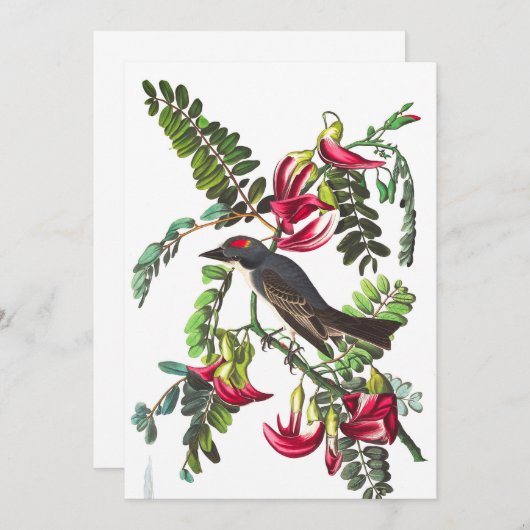 Piping Flycatcher by John James Audubon 招待状 (正面/裏面)