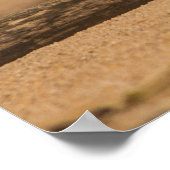 Piping Plover 36 x 24バリューポスター紙(マット) ポスター (角)