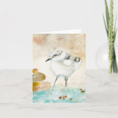 Piping Plover BLANK Greeting Card サンキューカード (正面)