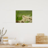 Pipng Plover ポスター (キッチン)