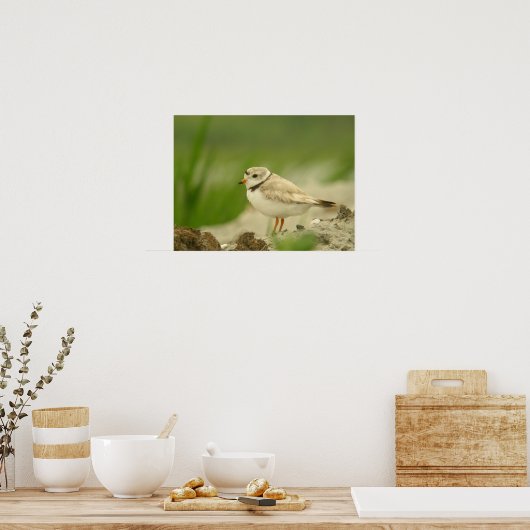Pipng Plover ポスター (キッチン)
