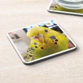 Pipsqueak @chirpythecrazyparkeet Plastic coaster コースター (左側)