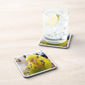 Pipsqueak @chirpythecrazyparkeet Plastic coaster コースター (右側)