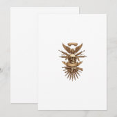 pirate 招待状 (正面/裏面)