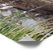 Pirate Pete ポスター (角)