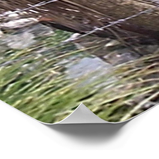 Pirate Pete ポスター (角)