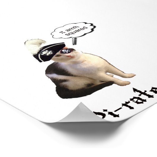 PiRateCat ポスター (角)