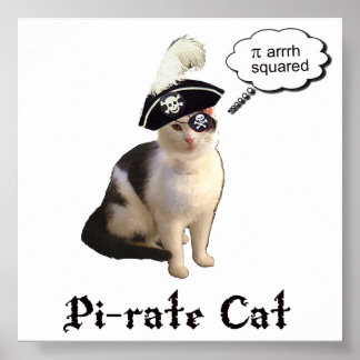 PiRateCat ポスター
