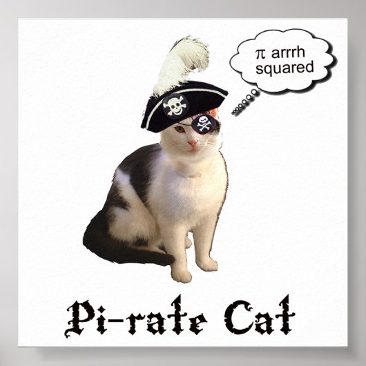 PiRateCat ポスター (正面)