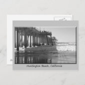 Pire blkのwhの灰色のボーダー ポストカード (正面/裏面)