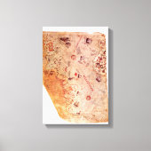 Piri Reis Ancient World Map on Canvas Wrap キャンバスプリント (正面)