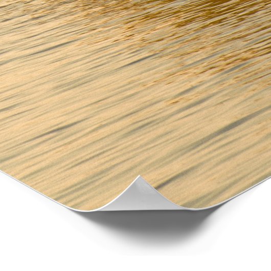 Piroguier Vezo ポスター (角)