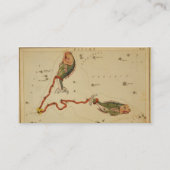 Pisces名刺 名刺 (裏面)