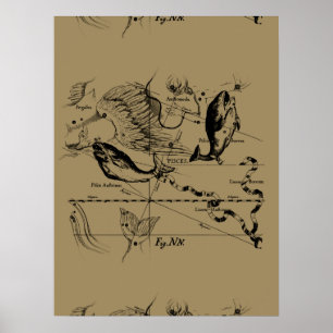 Pisces Constellation Hevelius 1690 on Taupe ポスター