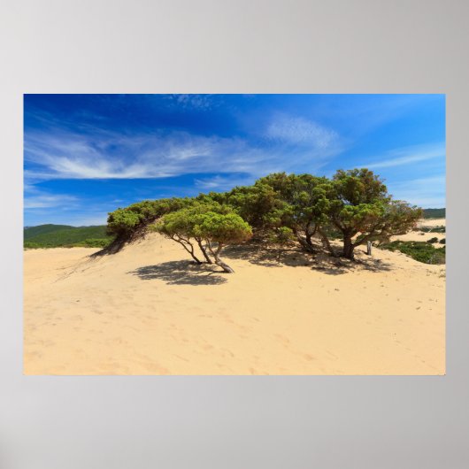 Piscinas dune – イタリア，サルデーニャ ポスター (正面)