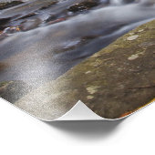 Pisgah Nationalのガラス秋の検索 フォトプリント (角)