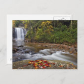 Pisgah Nationalのガラス秋の検索 ポストカード (正面/裏面)