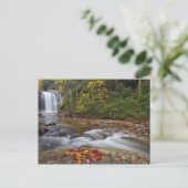 Pisgah Nationalのガラス秋の検索 ポストカード (スタンド正面)