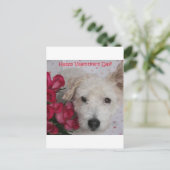 Pish氏およびダース匹のバラのバレンタインデーカード シーズンポストカード (スタンド正面)