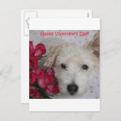 Pish氏およびダース匹のバラのバレンタインデーカード シーズンポストカード (正面/裏面)