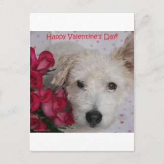 Pish氏およびダース匹のバラのバレンタインデーカード シーズンポストカード