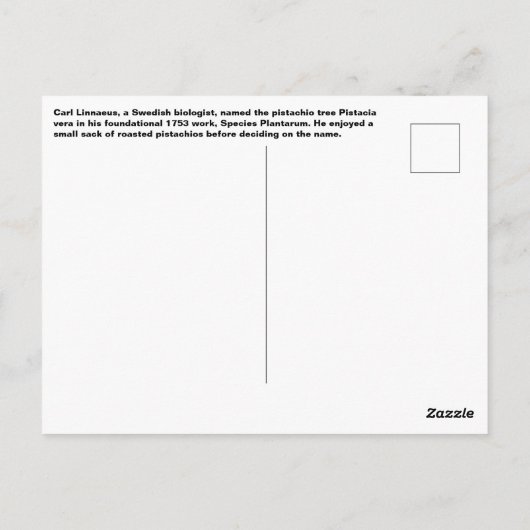 Pistachio vera Postcard ポストカード (裏面)