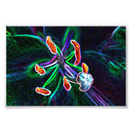 Pistilo de flor con efecto abstracto フォトプリント