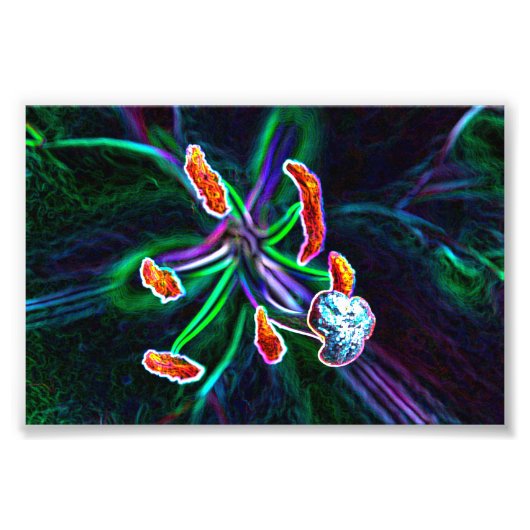  Pistilo de flor con efecto abstracto フォトプリント (正面)
