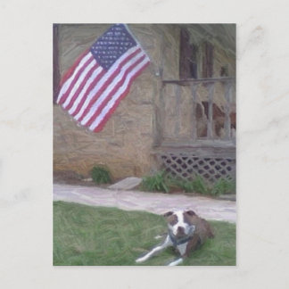 Pit Bull/BSLポストカード ポストカード