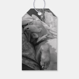 Pit Bull Love Photography  ギフトタグ