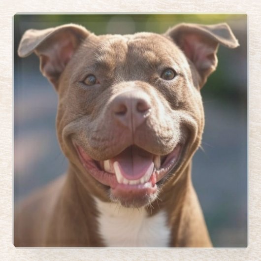 Pit Bull Photoを追加カスタマイズ ガラスコースター (正面)