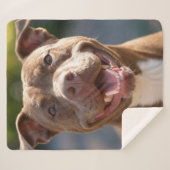 Pit Bull Photoを追加カスタマイズ シェルパブランケット (正面(横))