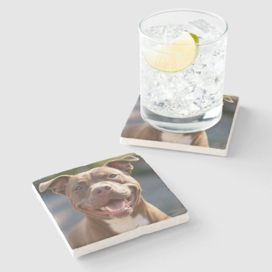 Pit Bull Photoを追加カスタマイズ ストーンコースター (横)