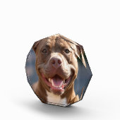 Pit Bull Photoを追加カスタマイズ フォトブロック (右)