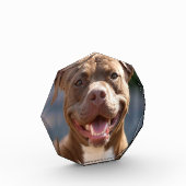Pit Bull Photoを追加カスタマイズ フォトブロック (左)