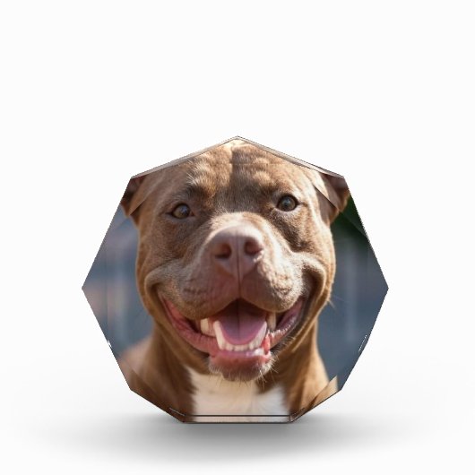 Pit Bull Photoを追加カスタマイズ フォトブロック (正面)