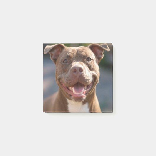 Pit Bull Photoを追加カスタマイズ ポストイット (正面)
