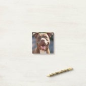Pit Bull Photoを追加カスタマイズ ポストイット (デスク上)