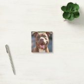 Pit Bull Photoを追加カスタマイズ ポストイット (オフィス)
