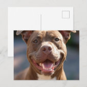 Pit Bull Photoを追加カスタマイズ ポストカード (正面/裏面)
