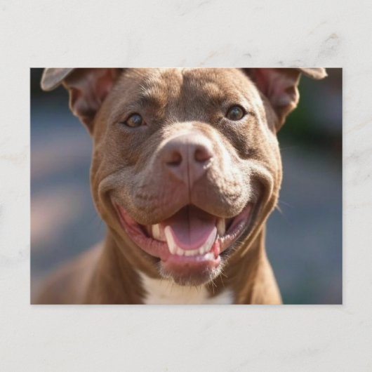 Pit Bull Photoを追加カスタマイズ ポストカード (正面)