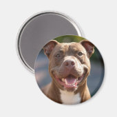 Pit Bull Photoを追加カスタマイズ マグネット (正面/裏面)